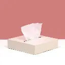 SQUARE TISSUE