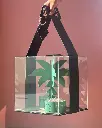 PALM GIFT