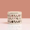 ABAQ SUGAR BOWL